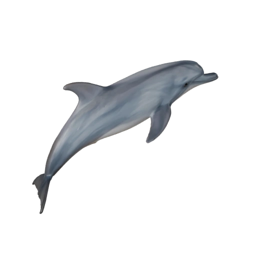 Grand Dauphin 3D Modèle pour Blender - Asset PBR avec Textures