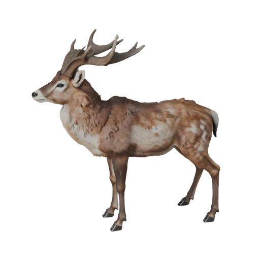 Antílope Realista Modelo 3D - Asset PBR Rigged para Jogos | PBR