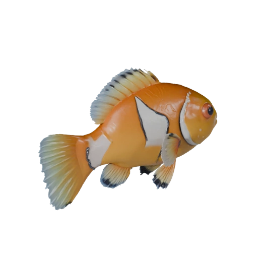 Clownfish 3D Model for Unity - Game Ready Asset, FBX | Royalty-Free