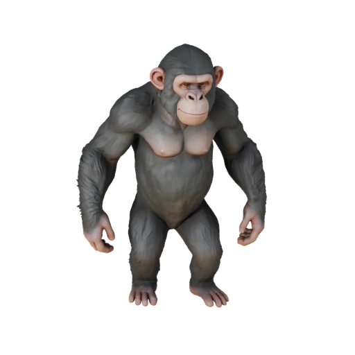 Chimpanzee 3D Model for Unity - Game Ready Asset, FBX | Royalty-Free