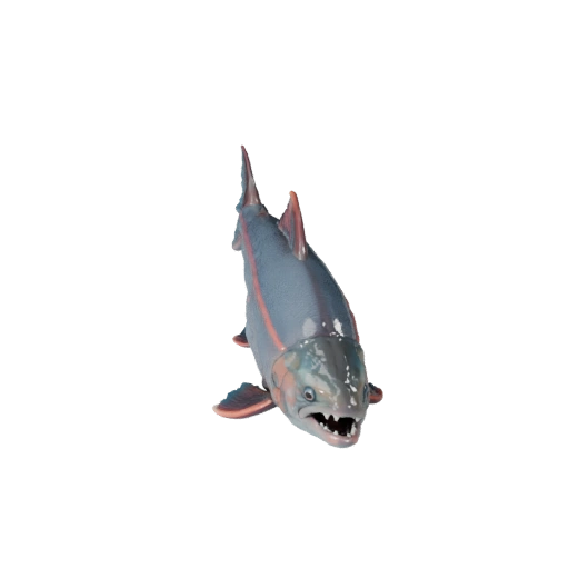 Salmon 3D Model for Blender - PBR Asset with Textures | Royalty-Free