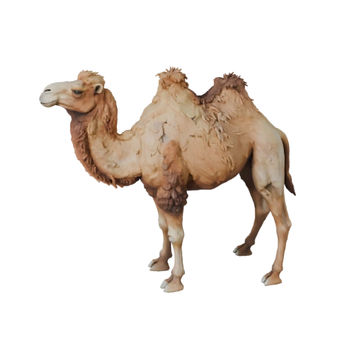 نموذج جمل ثلاثي الأبعاد لبرنامج بلندر - أصل PBR مع خامات | مجاني للاستخدام