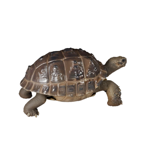 Galapagos Tortoise 3D Model for Blender - PBR Asset with Textures