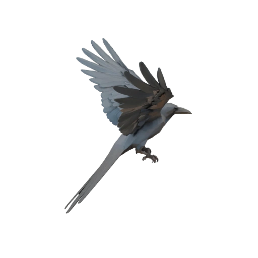 Low Poly Crow 3D Model - Unity Game Asset with FBX | Royalty-Free