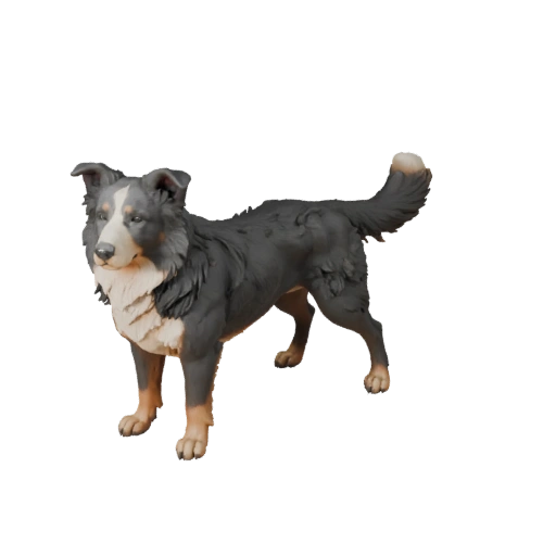Modelo 3D Cachorro Border Collie Alto Poligonagem - STL para Impressão
