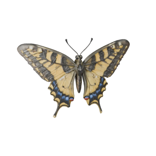 High Poly Swallowtail Butterfly 3D Model - STL Asset for Printing