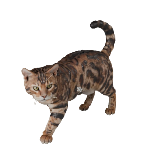 Bengal Cat 3D Model for Unity - Game Ready Asset, FBX | Royalty-Free
