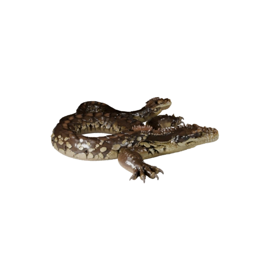 Modello 3D Boa Constrictor per Blender - Asset PBR con Texture