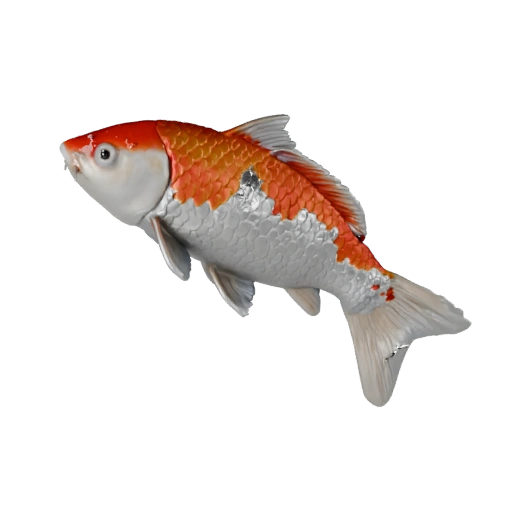 Realistic Koi Fish 3D Model - Rigged PBR Asset for Games | PBR