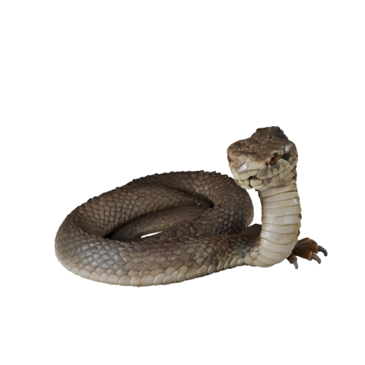 Realistische Klapperschlange 3D-Modell - Rigged PBR Asset für Spiele