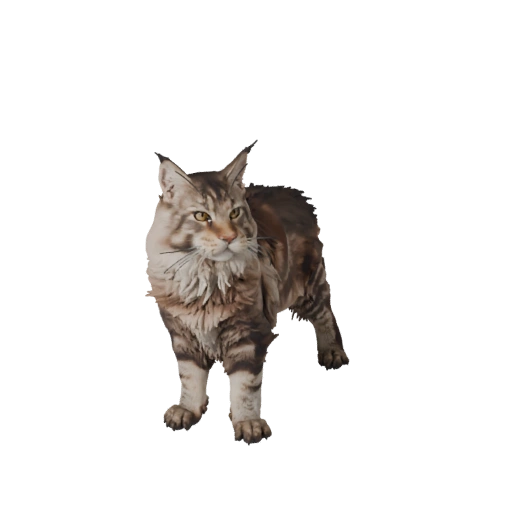 Modello 3D Realistico di Maine Coon - Asset PBR Rigged per Giochi