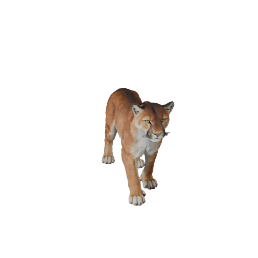 Cougar 3D Model for Unity - Game Ready Asset, FBX | Royalty-Free