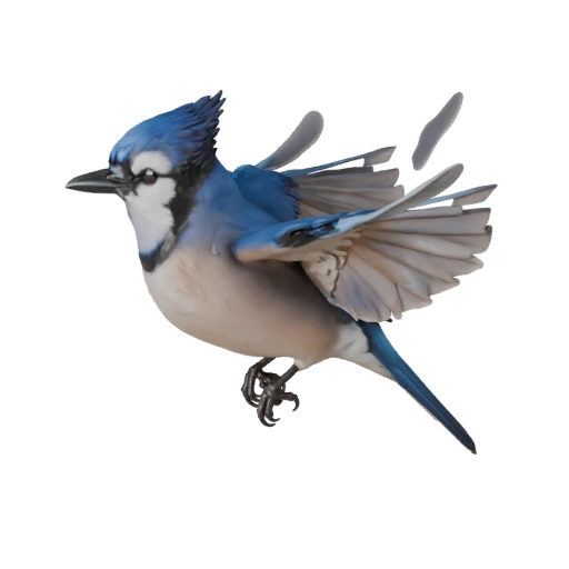 Realistic Blue Jay 3D Model - Rigged PBR Asset for Games | PBR