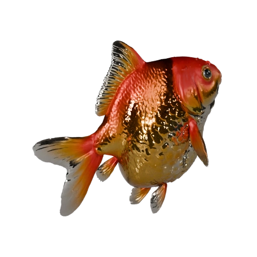 Realistic Goldfish 3D Model - Rigged PBR Asset for Games | PBR