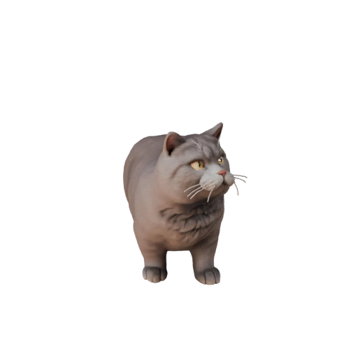 Cartoon British Shorthair 3D Model - Stylized Asset for Animation
