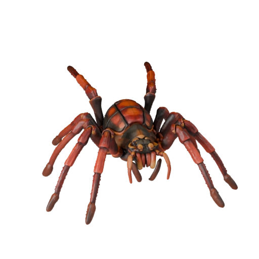 Tarantula 3D Model for Blender - PBR Asset with Textures | PBR