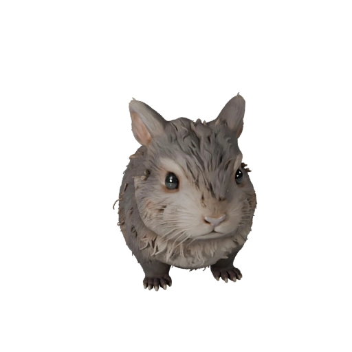 Chinchilla 3D Model for Unity - Game Ready Asset, FBX | Royalty-Free