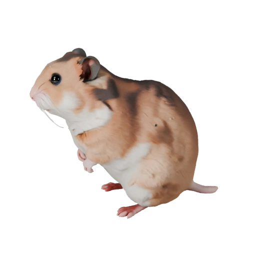 Hamster 3D Model for Blender - PBR Asset with Textures | PBR