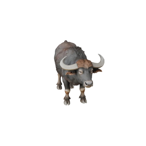Water Buffalo 3D Model for Unity - Game Ready Asset, FBX | PBR