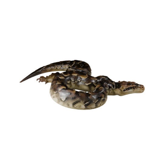 Boa Constrictor Realistico 3D Model - Asset PBR Rigged per Giochi