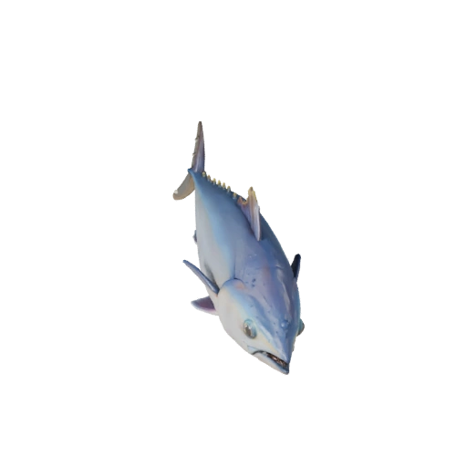 Tuna 3D Model for Blender - PBR Asset with Textures | Royalty-Free