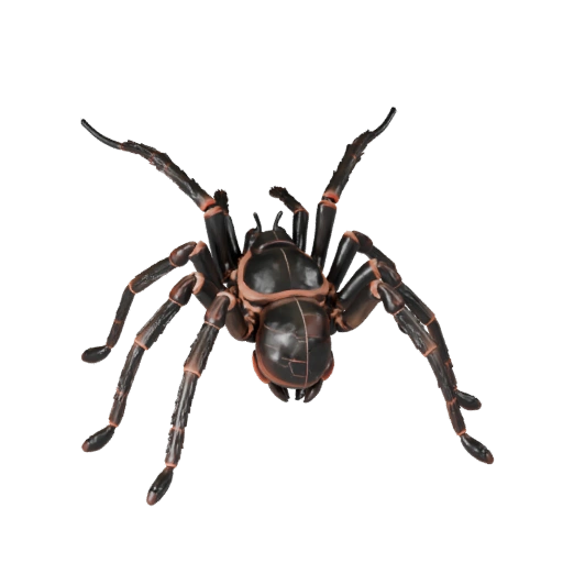 Realistic Tarantula 3D Model - Rigged PBR Asset for Games | PBR