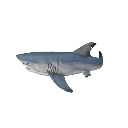Low Poly Hammerhead Shark 3D Model - Unity Game Asset with FBX