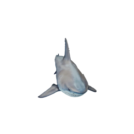 Realistic Shark 3D Model - Rigged PBR Asset for Games | Royalty-Free