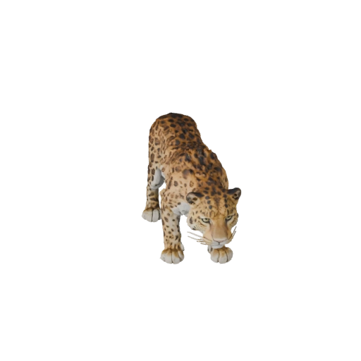Modello 3D Leopardo per Unity - Asset Pronto per il Gioco, FBX | Royalty-Free