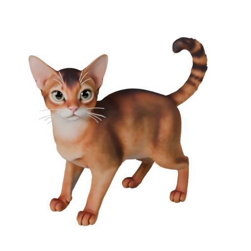 Cartoon Abyssinian Cat 3D Model - Stylized Asset for Animation