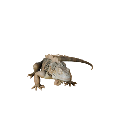 High Poly Iguana 3D Model - Detailed STL Asset for Printing