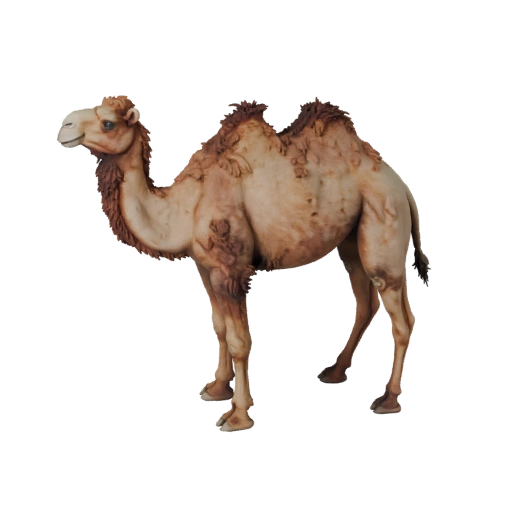 Dromedary Camel 3D Model for Blender - PBR Asset with Textures