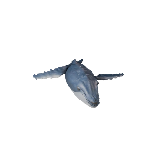 Realistic Humpback Whale 3D Model - Rigged PBR Asset for Games