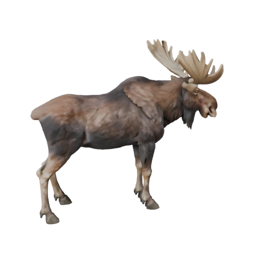 Modèle 3D d'élan haute poly - Actif STL détaillé pour l'impression