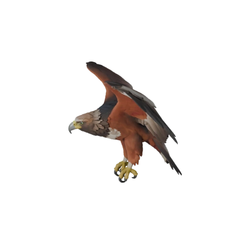 Realistic Harpy Eagle 3D Model - Rigged PBR Asset for Games