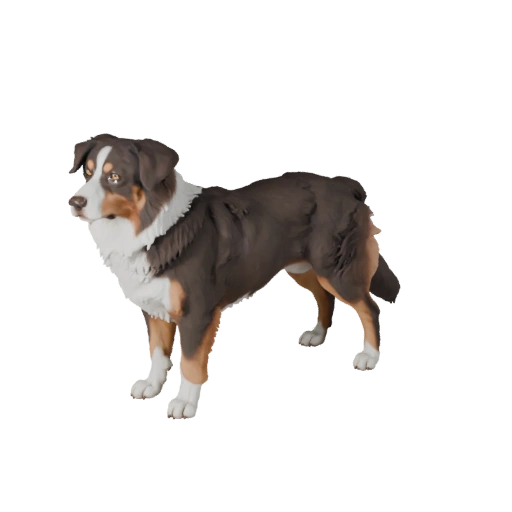 Realistic Australian Shepherd Dog 3D Model - PBR Asset fors