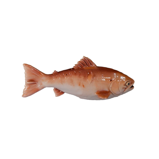 High Poly Salmon 3D Model - Detailed STL Asset for Printing