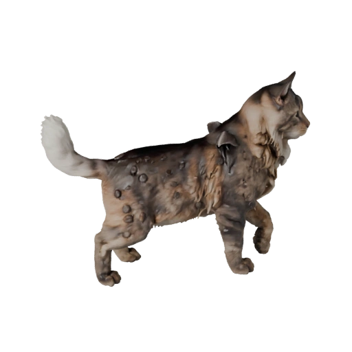 Gato Norueguês da Floresta Realista 3D Model - Asset PBR Rigged para Jogos