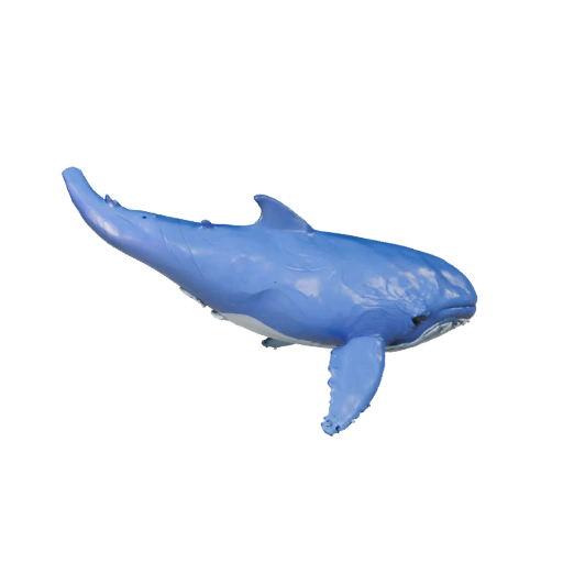 Blauwal 3D-Modell für Unity - Spielfertiges Asset, FBX | Lizenzfrei